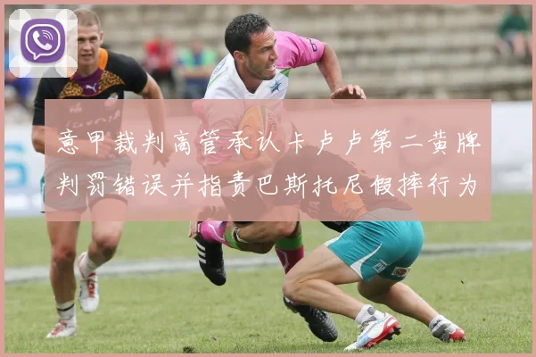 意甲裁判高管承认卡卢卢第二黄牌判罚错误并指责巴斯托尼假摔行为
