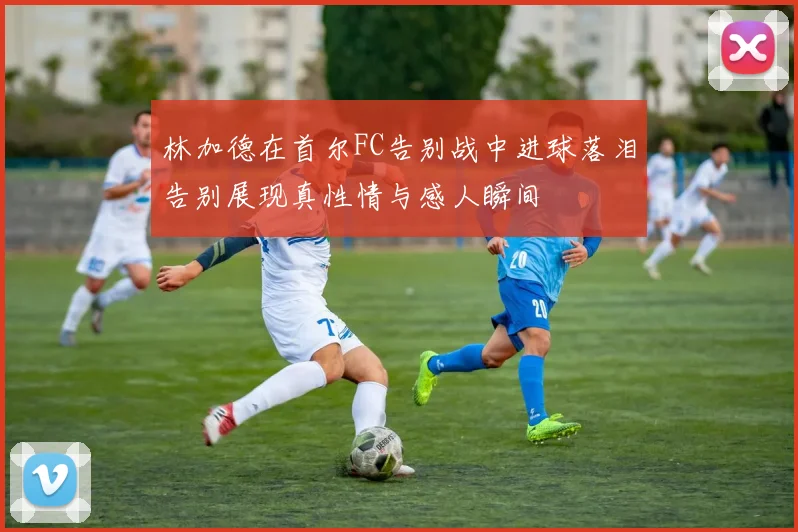 林加德在首尔FC告别战中进球落泪告别展现真性情与感人瞬间