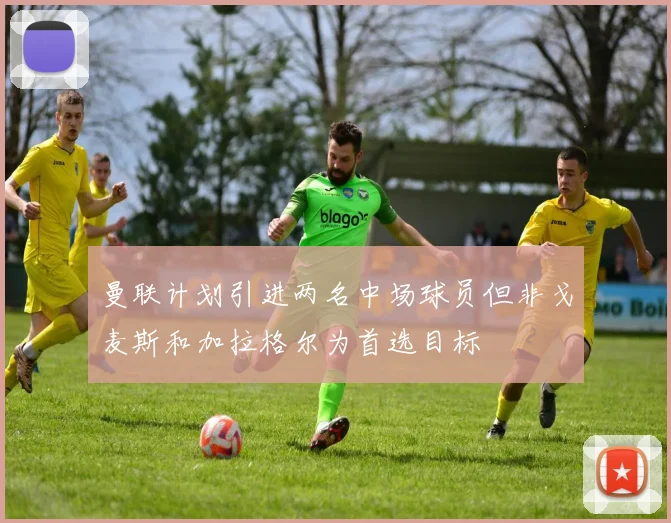 曼联计划引进两名中场球员但非戈麦斯和加拉格尔为首选目标